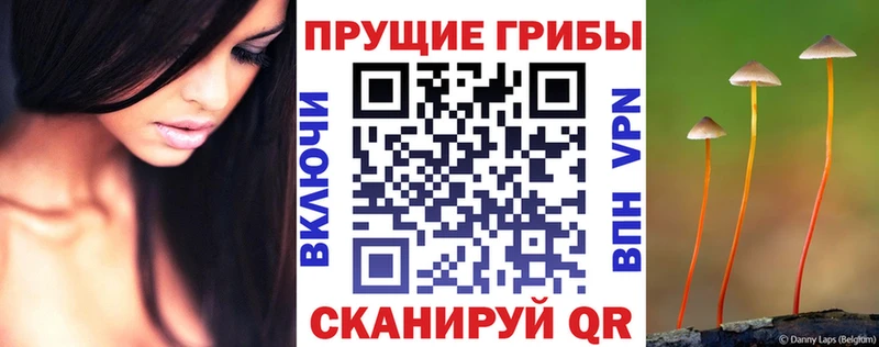 Галлюциногенные грибы Cubensis ОМГ ОМГ вход Саратов