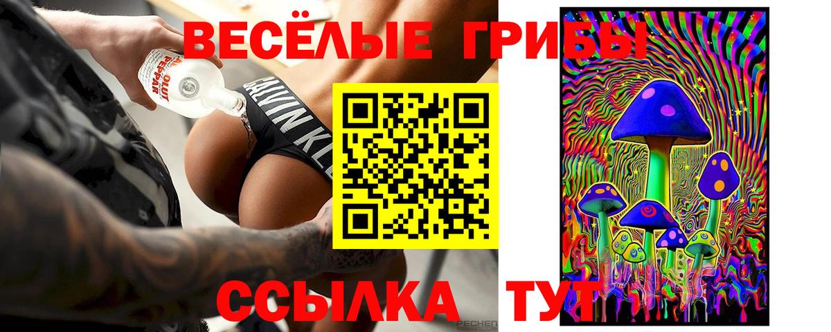 Галлюциногенные грибы GOLDEN TEACHER Саратов