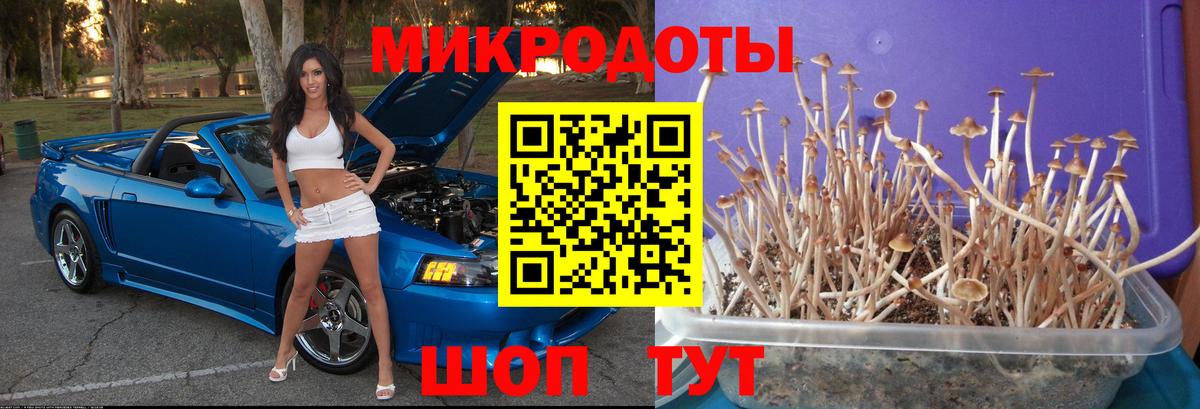 COCAIN  Вход с VPN  МДМА  Саратов  Конопля  Меф МЯУ МЯУ   ГАШИШ 